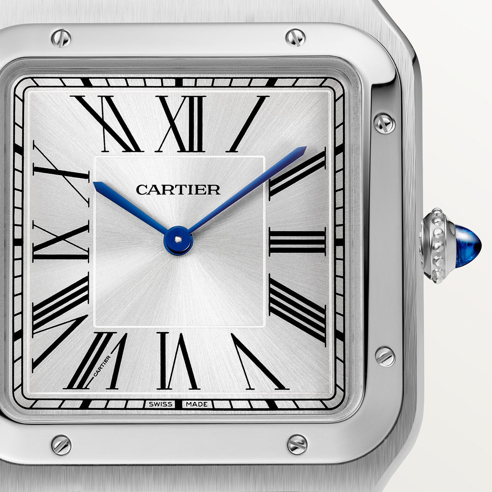 Cartier Santos-Dumont 46.6 mm WSSA0032 Silver Satin-Finish D Leather Unworn/ Complete/2024  9